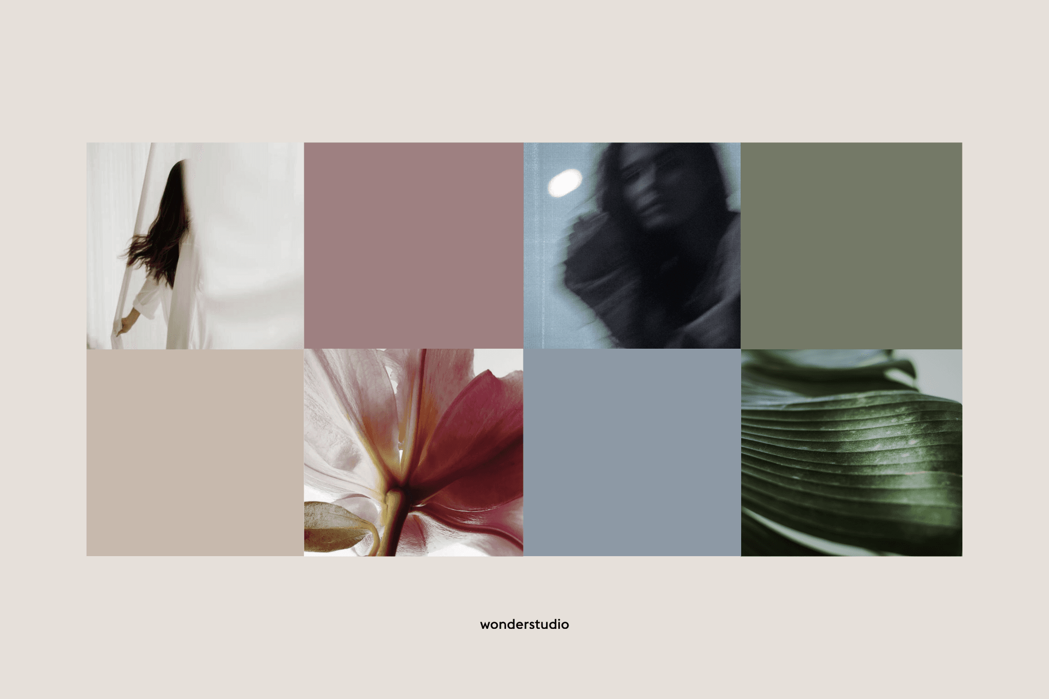 BLUME 3